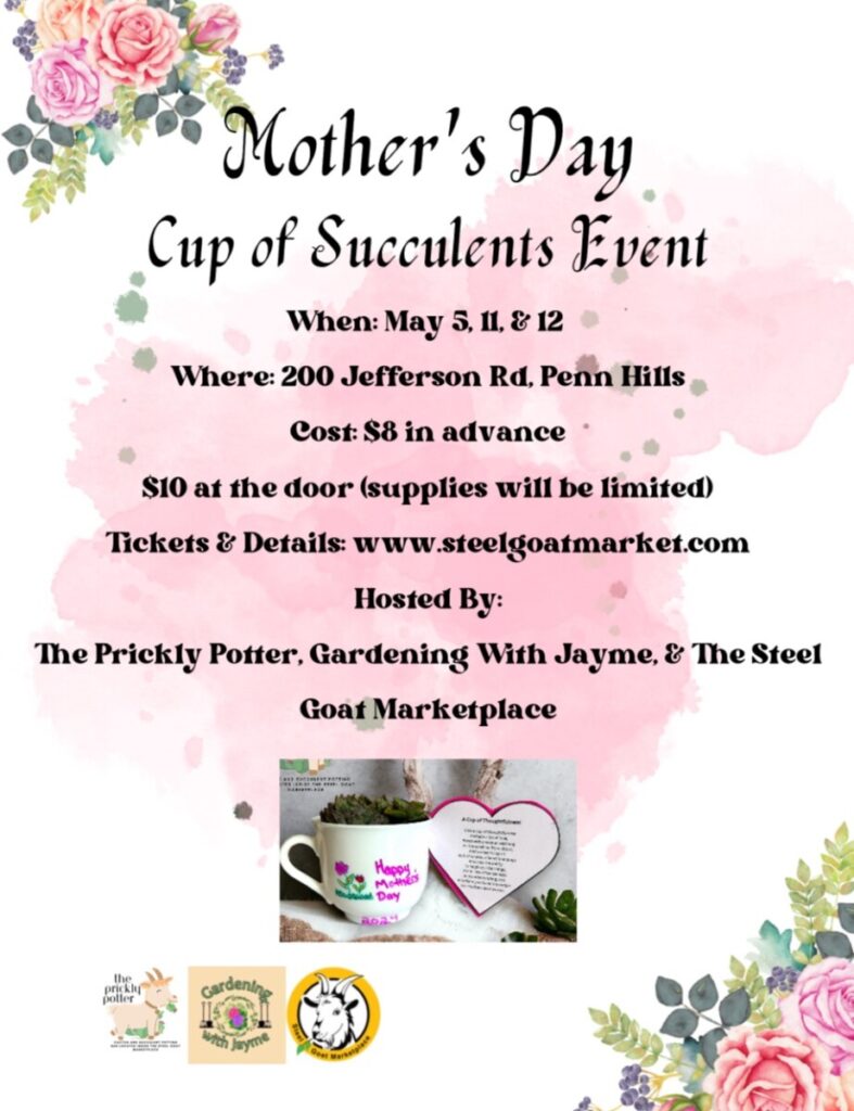 A Mother's Day Cup of Succulents Event