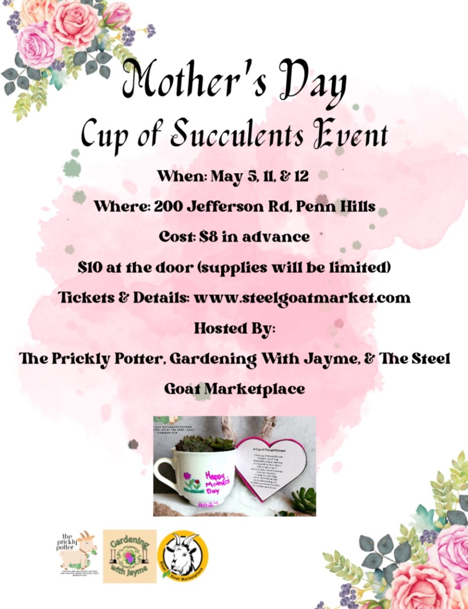 A Mother's Day Cup of Succulents Event
