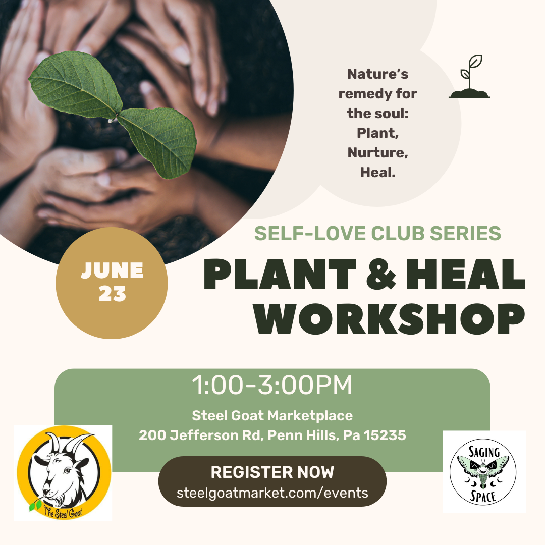 Plant & Heal Workshop