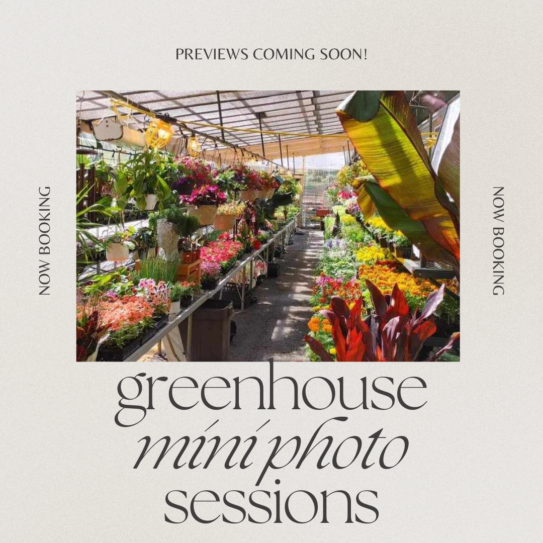 Greenhouse Minis Photos